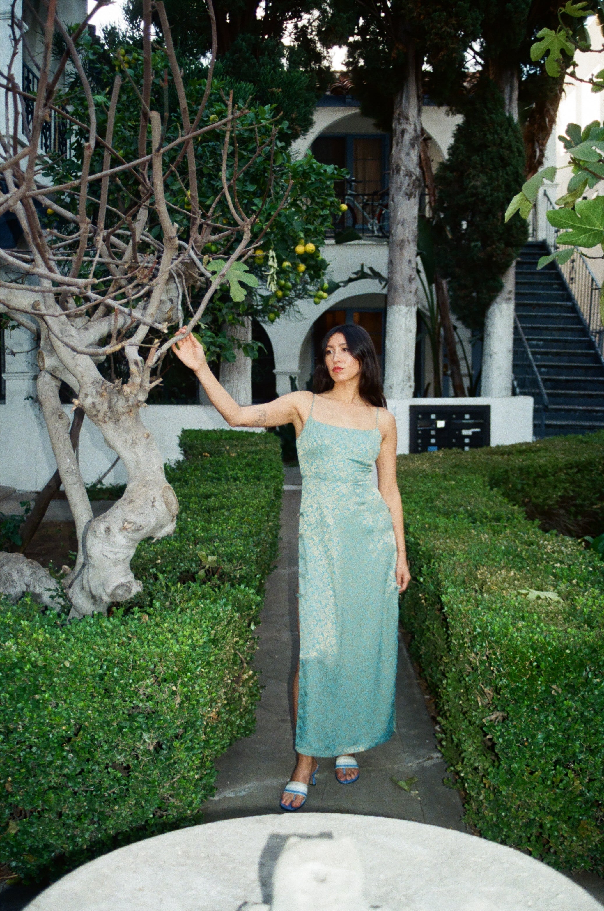 Sugarcane Dress / Koh Teal
